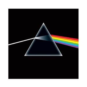 ⭐️Black Canvas with Prism and Rainbow Design Pink Floyd Album⭐️
